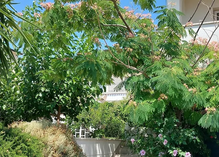 Mislav Apartman